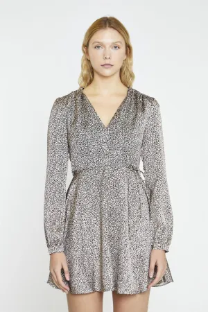 Leopard Swirl V-Neck Mini-Dress