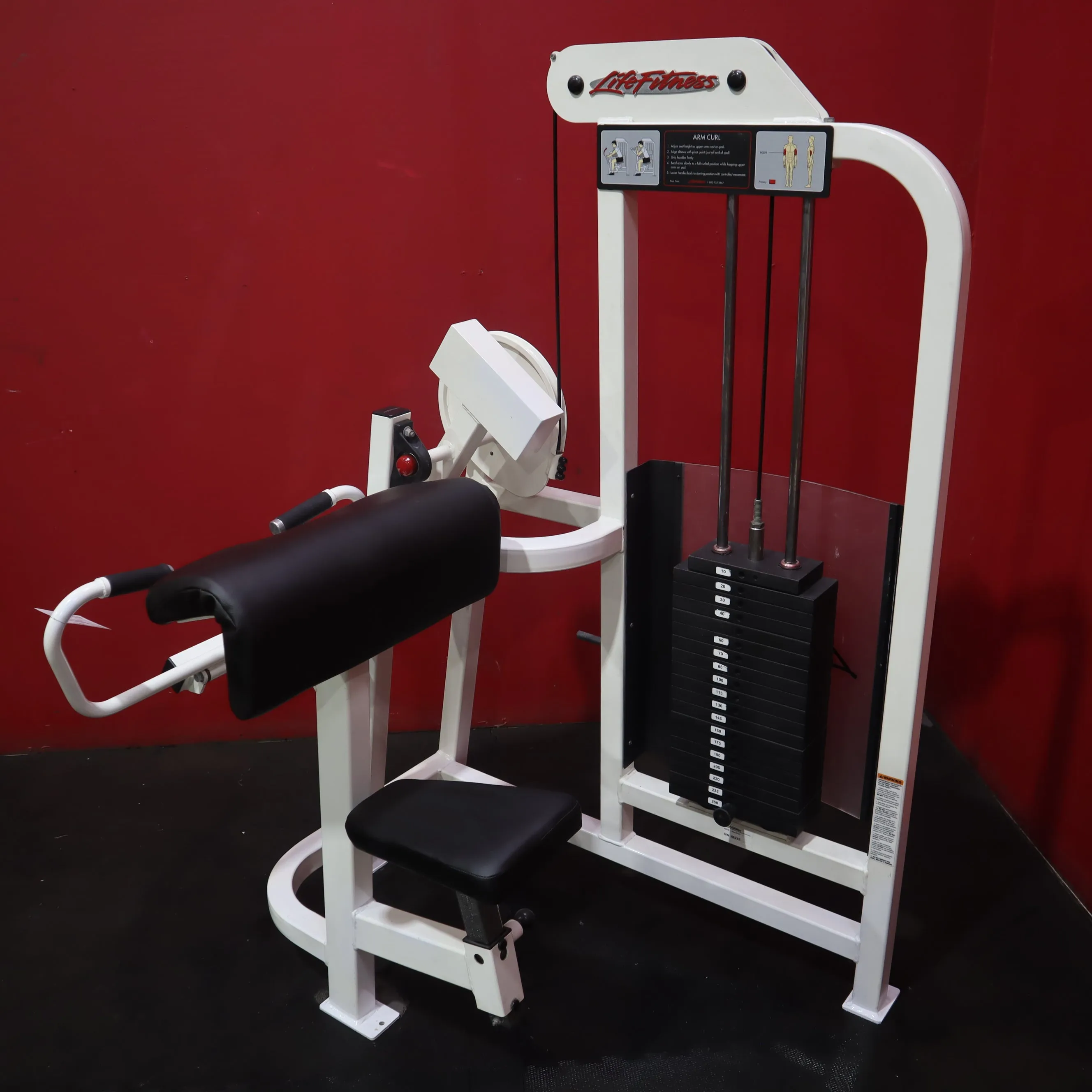 Life Fitness Arm Curl (Refurbished)