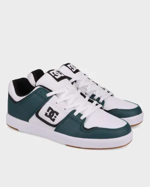 Mens DC Shoes Skate Shoes