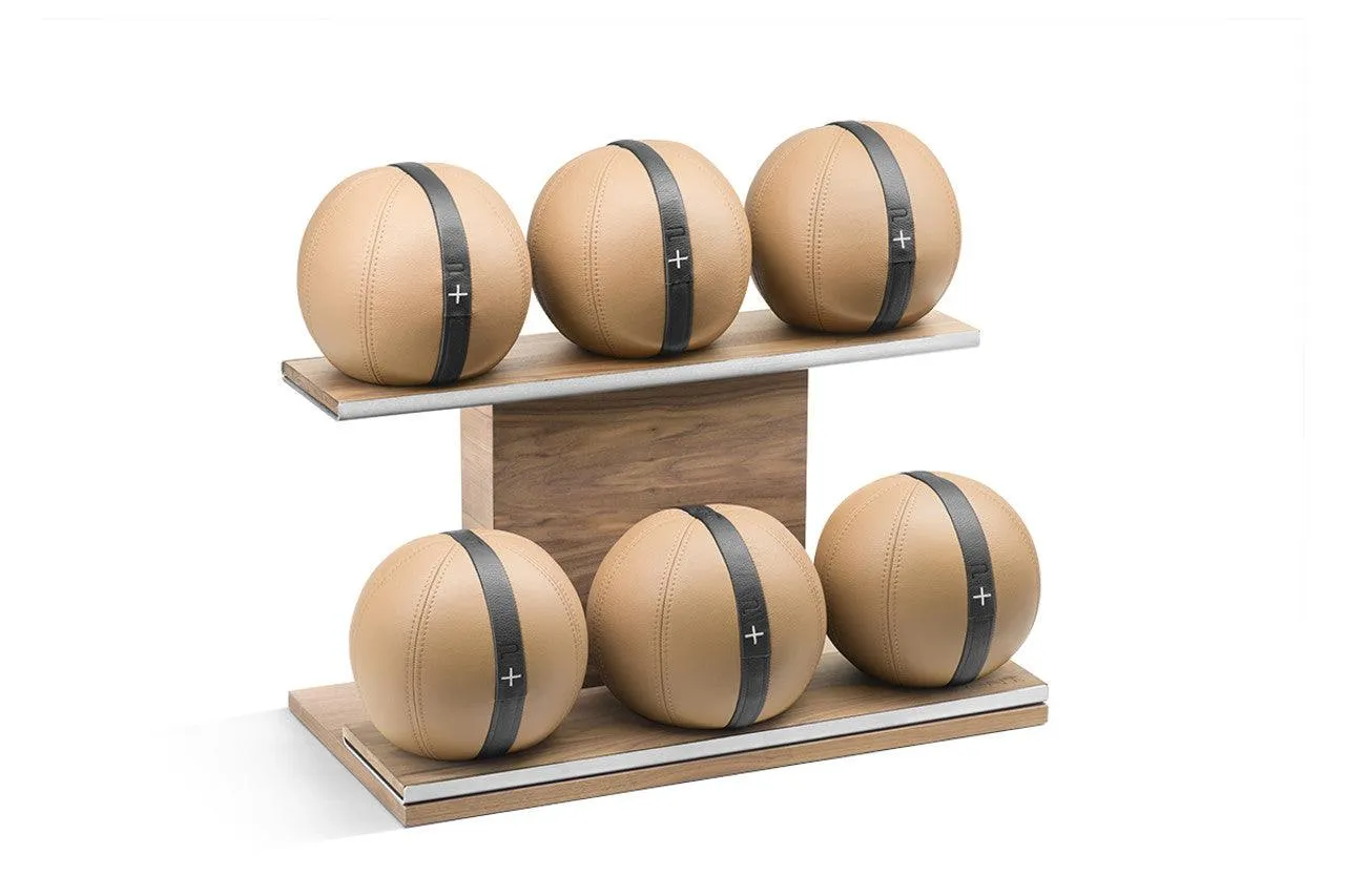 MOXA Full Medicine Ball Set By Pent Fitness